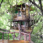 tree house hotel
